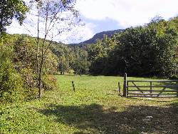 Roan Mountain scenery